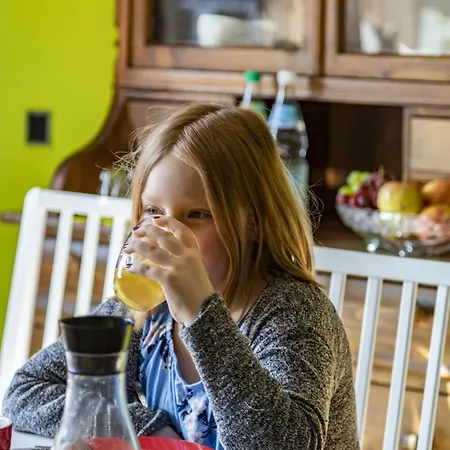 Hotell Kleinhotel Steinau-rabenstein Gbr Steinau an der Straße