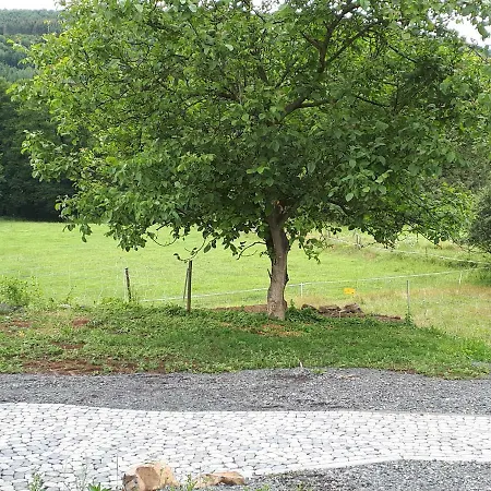 Kleinhotel Steinau-rabenstein Gbr