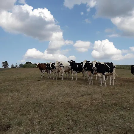 Kleinhotel Steinau-rabenstein Gbr Steinau an der Straße