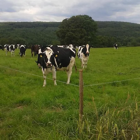 Kleinhotel Steinau-rabenstein Gbr 3*